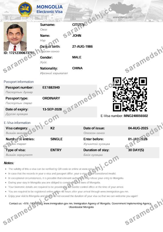 Mongolia electronic visa template in Word and PDF formats